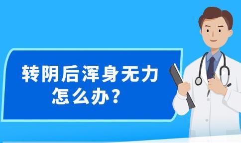 新澳精準資料免費提供大全下載|吸收釋義解釋落實,新澳精準資料免費提供大全下載，吸收釋義、解釋落實的重要性