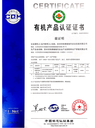 新奧門特免費資料大全管家婆料|可靠釋義解釋落實,新澳門特免費資料大全與管家婆料，可靠釋義、解釋及落實