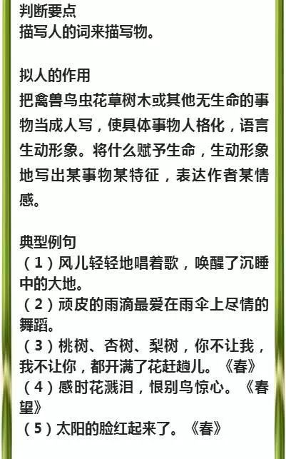 新澳精選資料免費(fèi)提供|準(zhǔn)繩釋義解釋落實(shí),新澳精選資料免費(fèi)提供，準(zhǔn)繩釋義、解釋落實(shí)的重要性