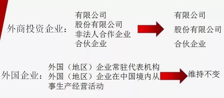 澳門平特一肖100最準(zhǔn)一肖必中|迎接釋義解釋落實,澳門平特一肖，揭秘預(yù)測準(zhǔn)確率與迎接釋義解釋落實的重要性